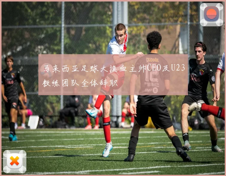 马来西亚足球大换血主帅CEO及U23教练团队全体辞职