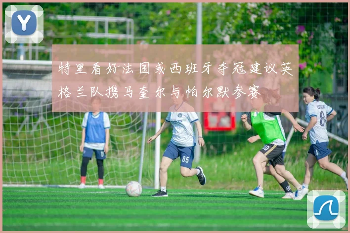 特里看好法国或西班牙夺冠建议英格兰队携马奎尔与帕尔默参赛